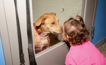 girl and dog