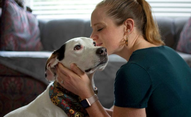 dog adoption
