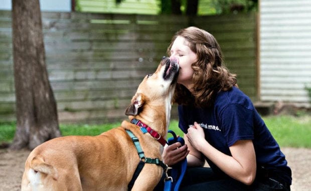 dog adoption