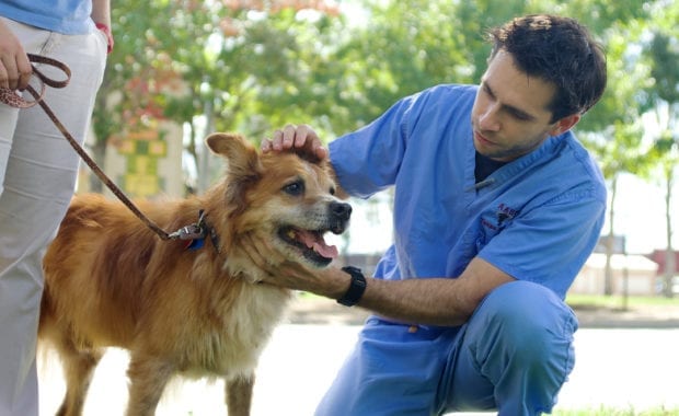 medical care