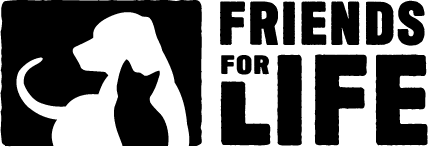 FFL Logo 2020