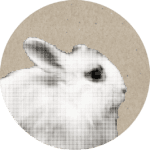 Rabbit Icon